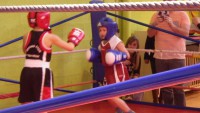 /album/sortis-boxe-educative-7-fevrier-2015/a11028638-997392266956439-2029482719-o-jpg/