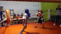 /album/sortis-boxe-educative-7-fevrier-2015/a11045503-997397140289285-662284785-o-jpg/