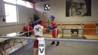 /album/boxe-educatif-samedi-4-avril-2015/a11221174-1034471149915217-1323025891-o-jpg/