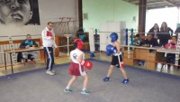 /album/boxe-educatif-samedi-4-avril-2015/a11235228-1034469933248672-1843100836-o-jpg/