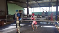 /album/boxe-educative-fumel-le-7-11-2015/imgp4060-jpg/