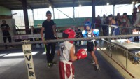 /album/boxe-educative-fumel-le-7-11-2015/imgp4066-jpg/